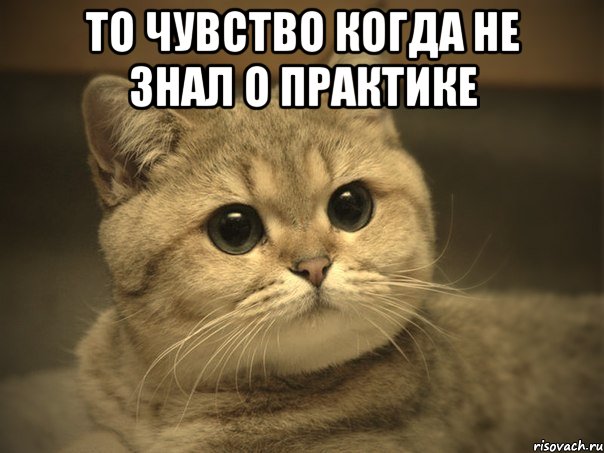 То чувство когда не знал о практике , Мем Пидрила ебаная котик