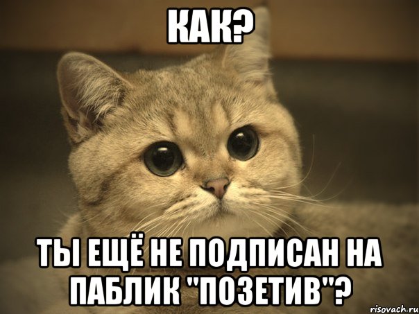 Как? Ты ещё не подписан На паблик "Позетив"?