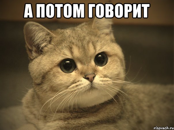 А потом говорит , Мем Пидрила ебаная котик