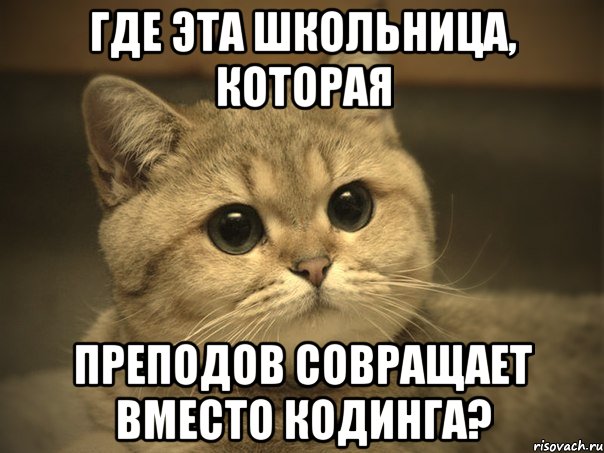 Где эта школьница, которая Преподов совращает вместо кодинга?