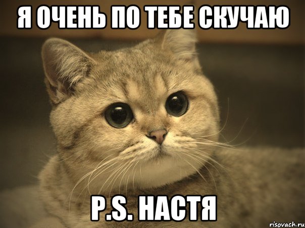 я очень по тебе скучаю p.s. НАСТЯ, Мем Пидрила ебаная котик