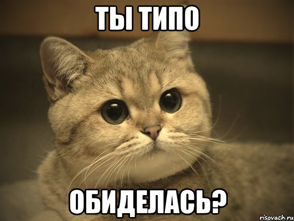 Ты типо Обиделась?, Мем Пидрила ебаная котик
