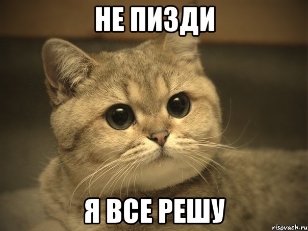 НЕ пизди Я все решу, Мем Пидрила ебаная котик