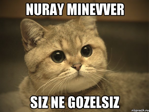 nuray minevver siz ne gozelsiz, Мем Пидрила ебаная котик