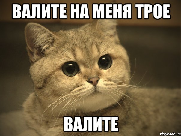 валите на меня трое валите, Мем Пидрила ебаная котик