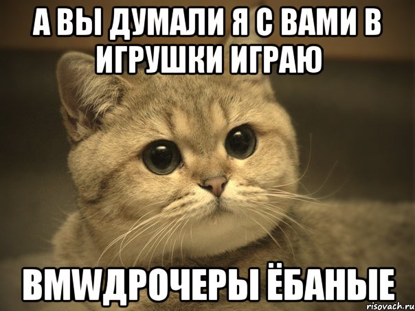 А ВЫ ДУМАЛИ Я С ВАМИ В ИГРУШКИ ИГРАЮ BMWДРОЧЕРЫ ЁБАНЫЕ, Мем Пидрила ебаная котик