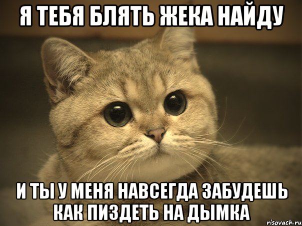 Я тебя блять жека найду И ты у меня навсегда забудешь как пиздеть на дымка, Мем Пидрила ебаная котик