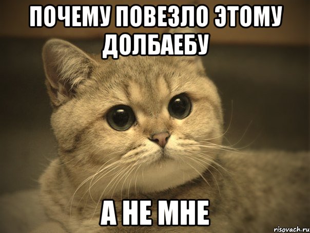 Почему повезло этому долбаебу А не мне, Мем Пидрила ебаная котик