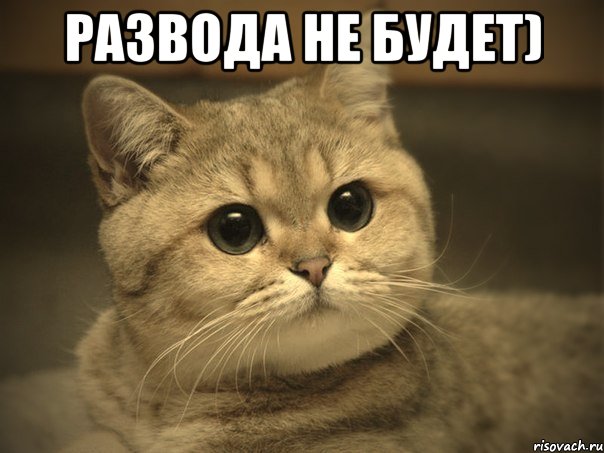 Развода не будет) , Мем Пидрила ебаная котик