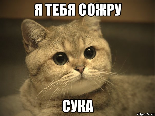 Я тебя сожру сука
