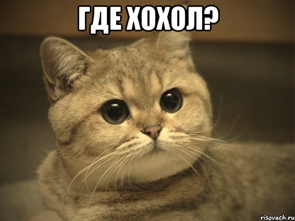 где хохол? 