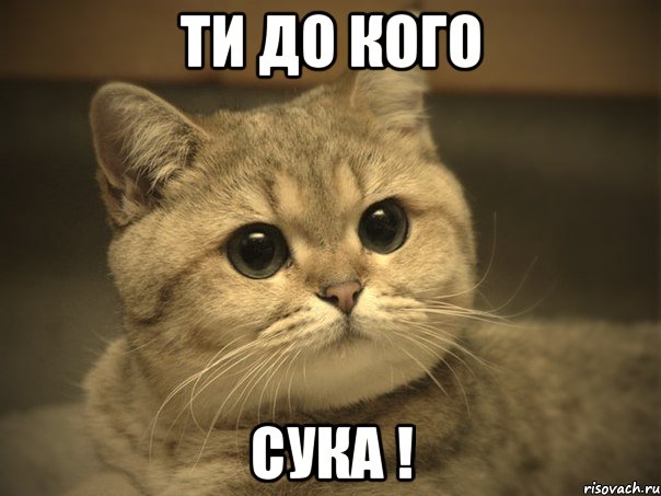 Ти до кого СУКА !
