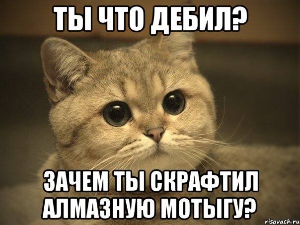 Ты что дебил? Зачем ты скрафтил алмазную мотыгу?