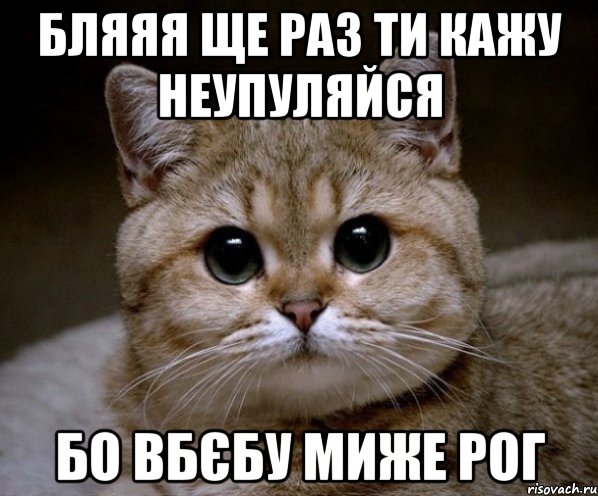 бляяя ще раз ти кажу неупуляйся бо вбєбу миже рог, Мем Пидрила Ебаная