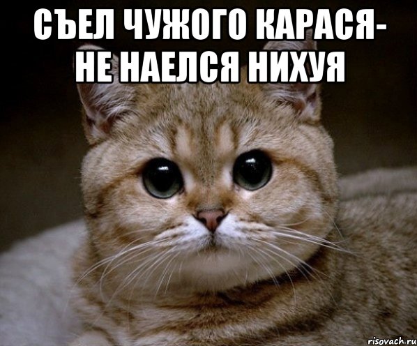 съел чужого карася- не наелся нихуя , Мем Пидрила Ебаная