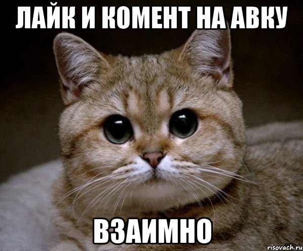 ЛАЙК И КОМЕНТ НА АВКУ ВЗАИМНО, Мем Пидрила Ебаная