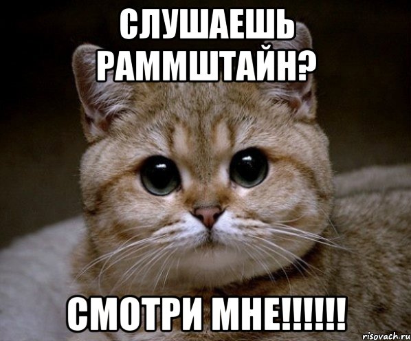 Слушаешь Раммштайн? СМОТРИ МНЕ!!!!!!, Мем Пидрила Ебаная
