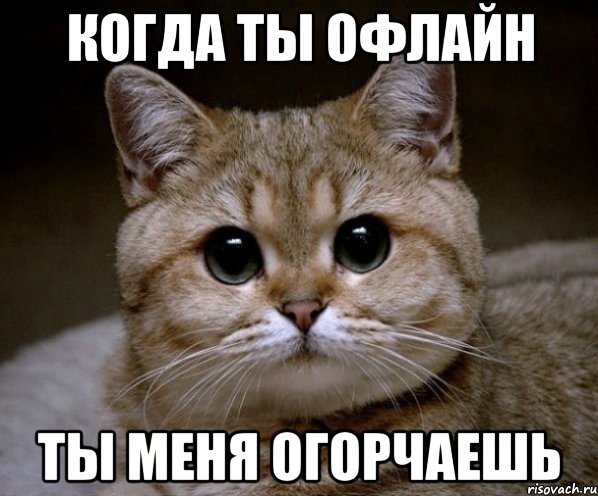 Когда ты офлайн Ты меня огорчаешь, Мем Пидрила Ебаная