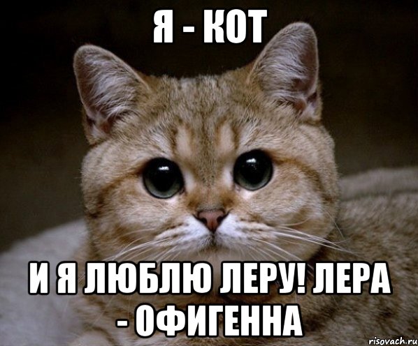 Я - кот И я люблю Леру! Лера - офигенна, Мем Пидрила Ебаная