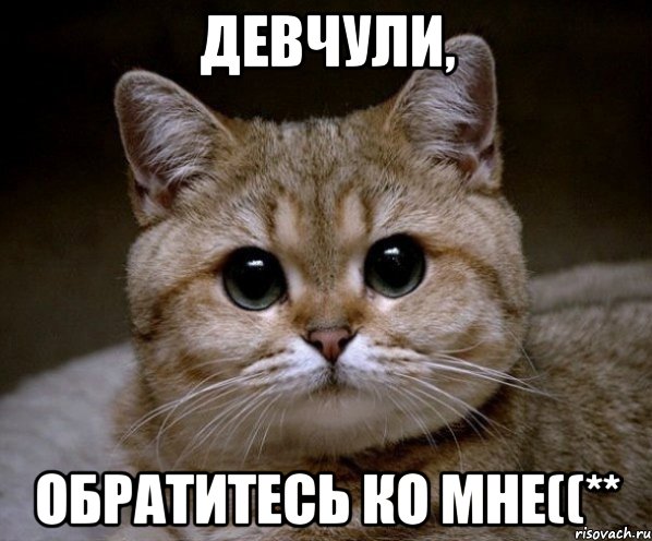 Девчули, обратитесь ко мне((**, Мем Пидрила Ебаная