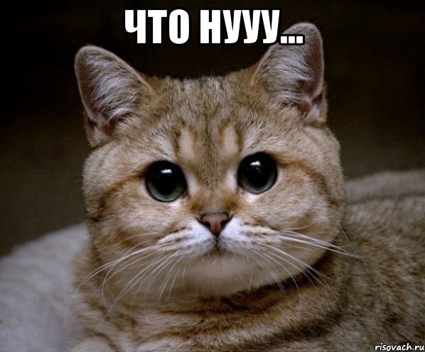 что нууу... , Мем Пидрила Ебаная