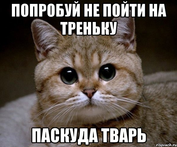 попробуй не пойти на треньку паскуда тварь, Мем Пидрила Ебаная