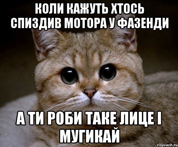 КОЛИ КАЖУТЬ ХТОСЬ СПИЗДИВ МОТОРА У ФАЗЕНДИ А ТИ РОБИ ТАКЕ ЛИЦЕ І МУГИКАЙ, Мем Пидрила Ебаная