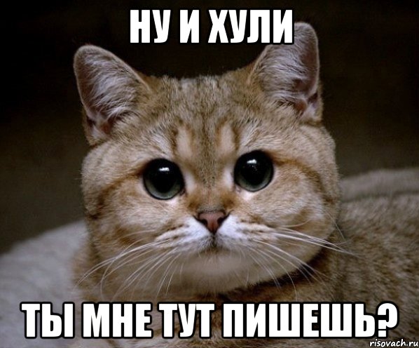 Ну и хули Ты мне тут пишешь?, Мем Пидрила Ебаная