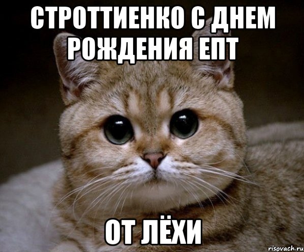 Строттиенко с днем рождения епт от Лёхи, Мем Пидрила Ебаная