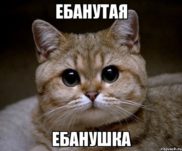 Ебанутая Ебанушка, Мем Пидрила Ебаная