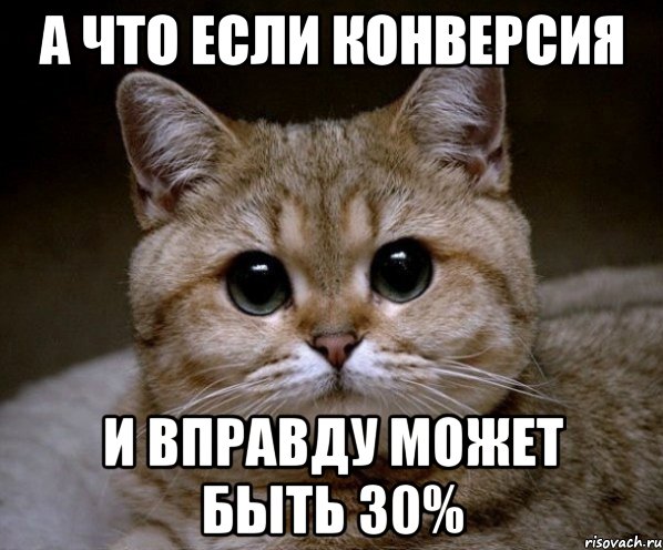 А что если конверсия и вправду может быть 30%, Мем Пидрила Ебаная