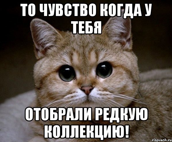 То чувство когда у тебя Отобрали Редкую коллекцию!, Мем Пидрила Ебаная