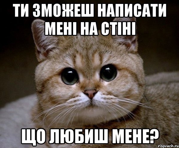 Ти зможеш написати мені на стіні Що любиш мене?, Мем Пидрила Ебаная