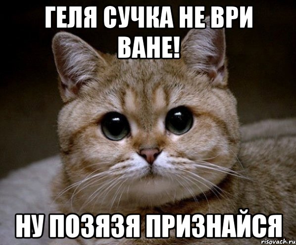 Геля сучка не ври Ване! Ну позязя признайся, Мем Пидрила Ебаная