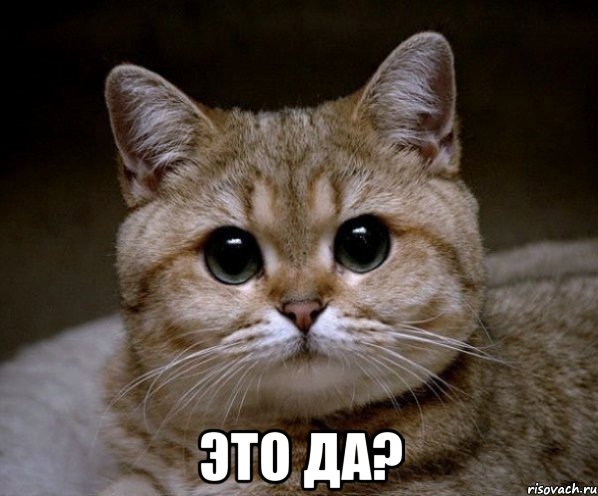  Это да?, Мем Пидрила Ебаная