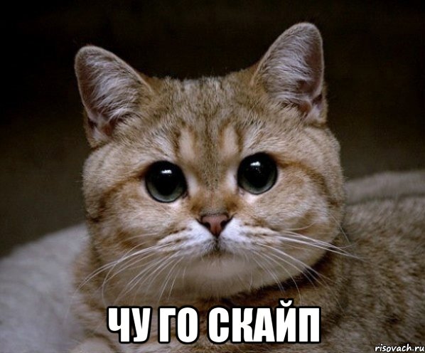  Чу го скайп, Мем Пидрила Ебаная