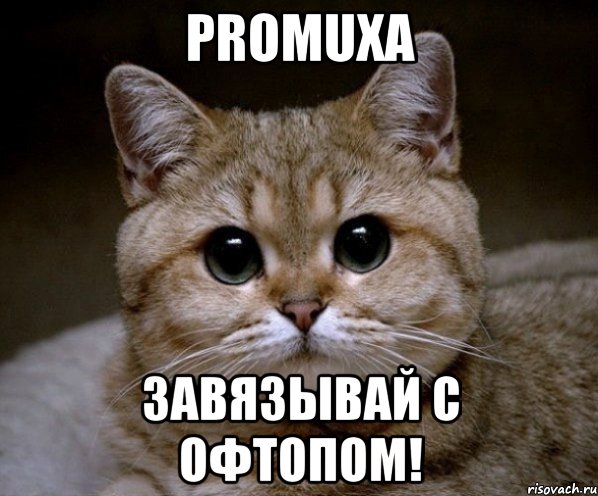 promuxa Завязывай с офтопом!, Мем Пидрила Ебаная