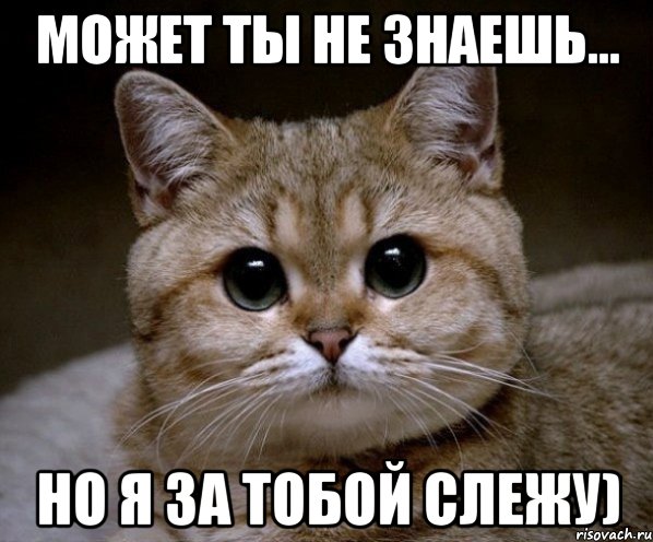 Может ты не знаешь... но я за тобой слежу), Мем Пидрила Ебаная