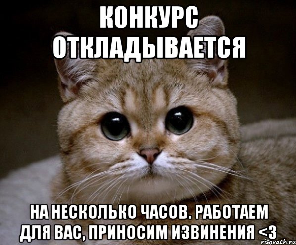 конкурс откладывается на несколько часов. работаем для вас, приносим извинения <3, Мем Пидрила Ебаная