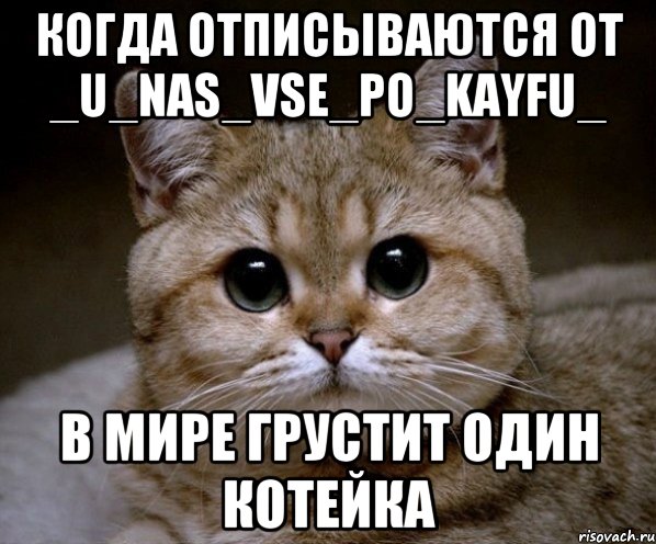Когда отписываются от _u_nas_vse_po_kayfu_ В мире грустит один котейка, Мем Пидрила Ебаная