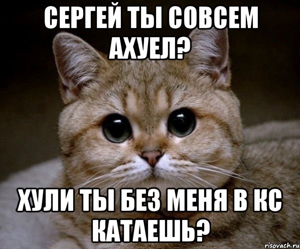 Сергей ты совсем ахуел? Хули ты без меня в кс катаешь?, Мем Пидрила Ебаная