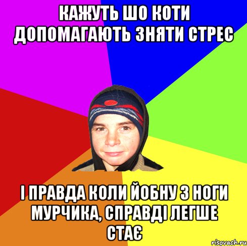 Кажуть шо коти допомагають зняти стрес І правда коли йобну з ноги мурчика, справді легше стає