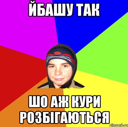 Йбашу так Шо аж кури розбігаються