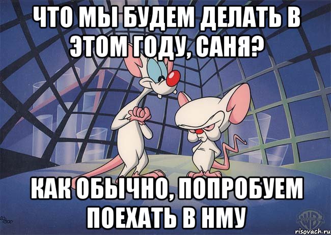 что мы будем делать в этом году, саня? как обычно, попробуем поехать в НМУ, Мем ПИНКИ И БРЕЙН