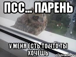 Псс... Парень у меня есть,то что ты хочешь