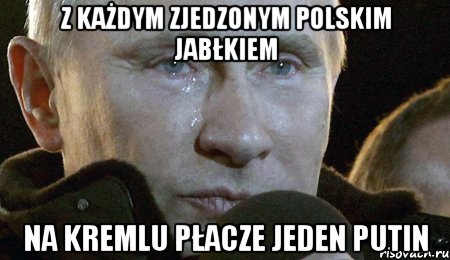 Z każdym zjedzonym polskim jabłkiem na Kremlu płacze jeden Putin, Мем Плачущий Путин