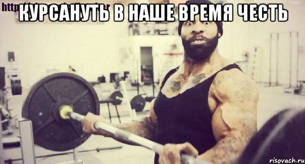 Курсануть в наше время честь , Мем Плюшевая борода