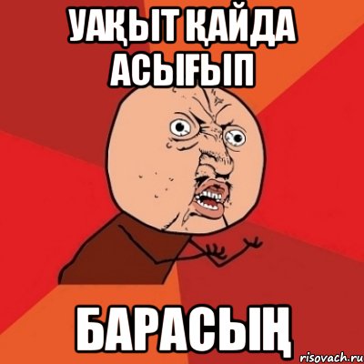 Уақыт қайда асығып барасың, Мем Почему