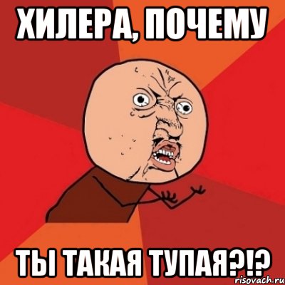 Хилера, почему ты такая тупая?!?, Мем Почему