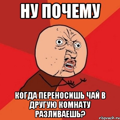 НУ ПОЧЕМУ КОГДА ПЕРЕНОСИШЬ ЧАЙ В ДРУГУЮ КОМНАТУ РАЗЛИВАЕШЬ?, Мем Почему